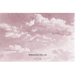 Vliesbehang - Wolken Schets roze - 350x228cm - House of Fetch