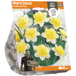 Narcissus Double Ice King per 8 bloembollen