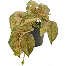 Kunstplant Scindapsus 25 cm rood/groen | NeverLeafs