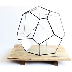 URBANJNGL - Geometrisch Terrarium - Cosmo - Vivarium - ↑ 31 x 29 x 29 cm (LxBxH) - Glas