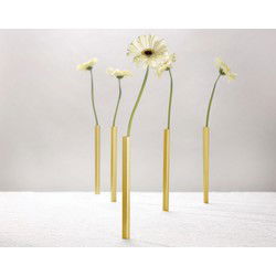 Peleg Design Magnetische vazen - goud - set van 5 stuks