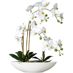 Kopu® Kunstbloem Orchidee 60 cm Wit met Schaal Ovaal - Phalenopsis