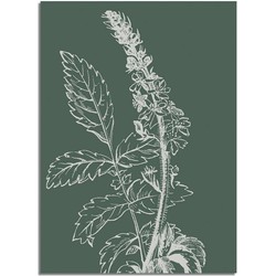 Vintage bloem blad poster - Groen - Puur Natuur Botanische poster - A4 + Fotolijst zwart