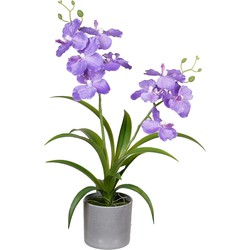 Louis Maes Orchidee bloemen kunstplant in bloempot - paars bloemen - H38 cm - Kunstplanten