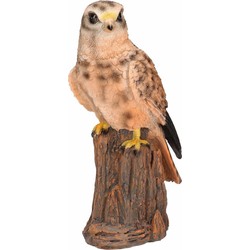 Decoratie beeldjes - torenvalk - roofvogel - 22 cm - Dieren - Beeldjes