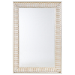 CASSIS - Wandspiegel - Zilver - 60 x 90 cm - Synthetisch materiaal