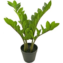 Kunstplant Zamioculcas 55 cm