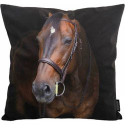 Sierkussen Paard / Horse | 45 x 45 cm | Katoen/Polyester