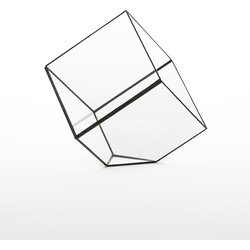 Geometrisch terrarium Cube van Hart & Ruyt - 15cm - zwart