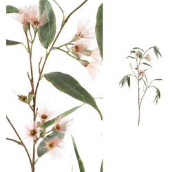 PTMD Eucalyptus Tak Kunstplant - 85 x 50 x 118 cm - Groen/roze