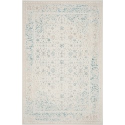 Safavieh Glam Indoor Geweven Vloerkleed, Passion Collectie, PAS405, in Turquoise & Ivoor, 201 X 279 cm