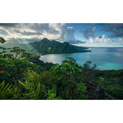 Sanders & Sanders fotobehang tropisch eiland groen en blauw - 450 x 280 cm - 612698