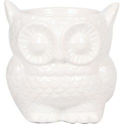 Kolibri Home | Owl bloempot - Witte keramieken sierpot - Ø9cm
