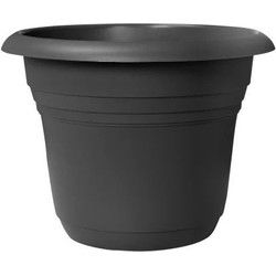 Pot mediter.campana d20 cm antra
