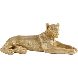 Kare Decofiguur Lion Gold 80cm