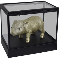 LOFT42 Showy Glazen Display Box Zwart - Metaal - (27x30x20)