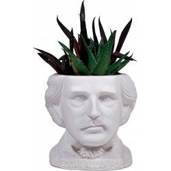 UPG Planter - Edgar Allan Poe