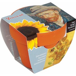 Zaai-pot voor zonnebloemen Van Gogh - Set van 2