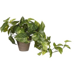 Mica Decorations Pothos Kunstplant - 17x17x44 cm - Groen