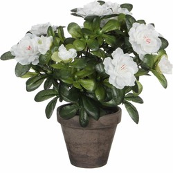Mica Decorations Kunstplant - Azalea - groen/wit - 27 cm - Kunstplanten