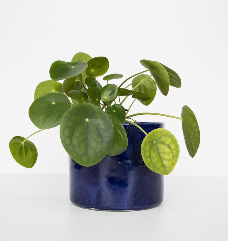 Handmade planter ceramic - Costa Azul - 