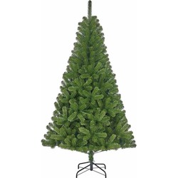 Kerst kunstboom Charlton 805 tips 215 cm - Kunstkerstboom