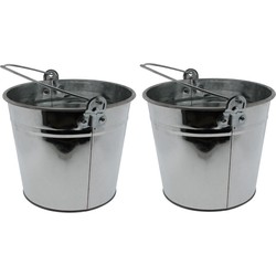 Emmer van zink - 2x - 5L - zilverkleurig - 16 x 21 cm - plantenpot - Emmers