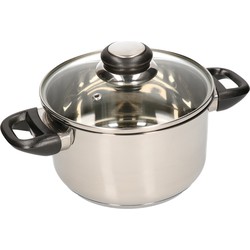 RVS kookpan / pan met glazen deksel 20 cm - Kookpannen