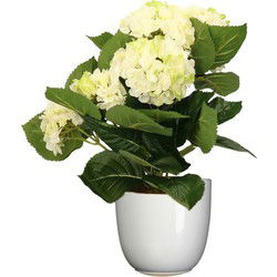 Hortensia kunstplant/kunstbloemen 36 cm - wit/groen - in pot wit glans - Kunstplanten