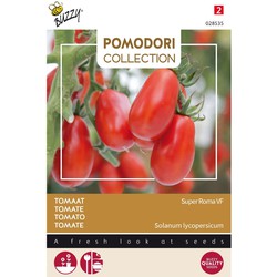 3 stuks - Pomodori super roma