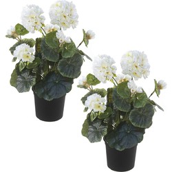 Set van 2x stuks witte geranium Pelargonium Graveolens kunstplanten in zwarte kunststof pot 35 cm - Kunstplanten