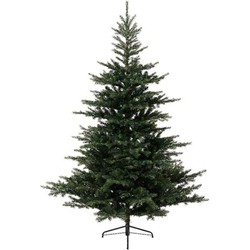 Grandis Fir Green - 150 cm dia 100 cm