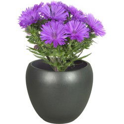 Floran Bloempot Rian - mat antraciet - keramiek - 27 x 24 cm - Plantenpotten