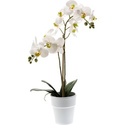 Witte orchidee kunstplant in kunststof pot 65 cm - Kunstplanten