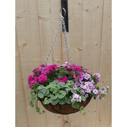 Hanging basket zomerbloeiers roze h25 cm