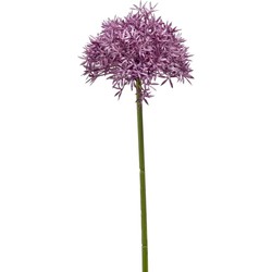 Emerald Allium/Sierui kunstbloem - losse steel - paars - 62 cm - Natuurlijke uitstraling - Kunstbloemen