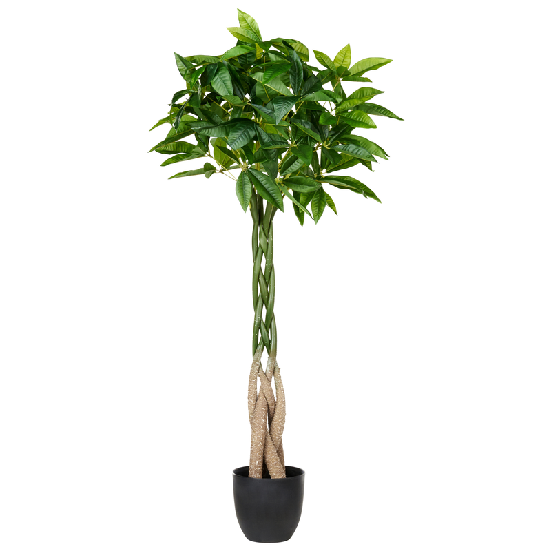 Beliani PACHIRA TREE - Kunstplant-Groen-Synthetisch materiaal - 