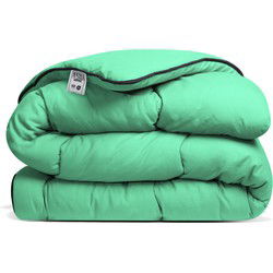 Avenue - Luxe en makkelijk dekbed zonder overtrek – Hoesloos 2 persoons dekbed 200x200 cm – Anti-allergisch & hygiënisch – Wasbaar op 60°C – Wolkenzacht en soepel – Groen – All Year comfort zomerdekbed & winterdekbed - Special Edition