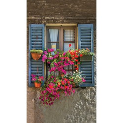 Blue shutters 70x130cm Tuinschilderij - Customize-it