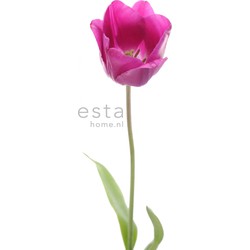 ESTAhome fotobehang tulp roze en groen - 93 x 211,5 cm - 156502