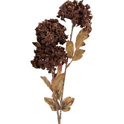 Clayre & Eef Kunstbloem 76 cm Bruin Kunststof
