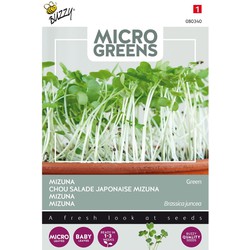 5 stuks - Microgreens Mizuna - Buzzy