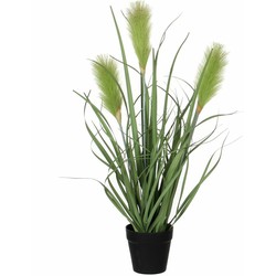 Mica Decorations Kunstplant - siergras - groen - in pot - 53 cm - Kunstplanten