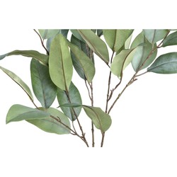 PTMD Eucalyptus Kunstplant - 84 x 45 x 140 cm  - Kunststof - Groen