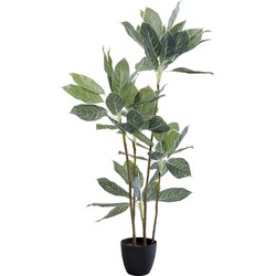 Kunstplant Calathea 140cm