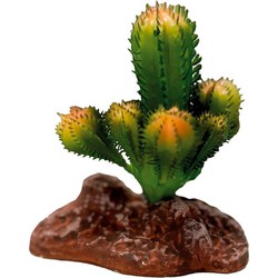 Repto Aquadistri plant cactus