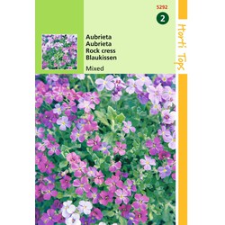 2 stuks - Aubrietia Hybrida Grandiflora Gemengd - Hortitops