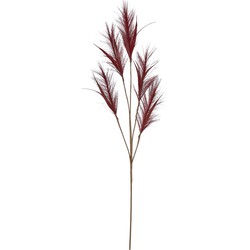 House of SeasonsA pluimgras losse steel/tak - bordeaux rood - 98 cm - decoratie kunst pluimen - Kunsttakken