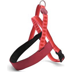 MORSO NORWEGIAN HONDENTUIG GERECYCLED LIPSTICK ROZE 80-110X66 CM