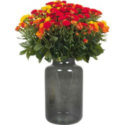 Bela Arte Bloemenvaas Milan - smoke grijs glas - D15xH25 cm - Vazen